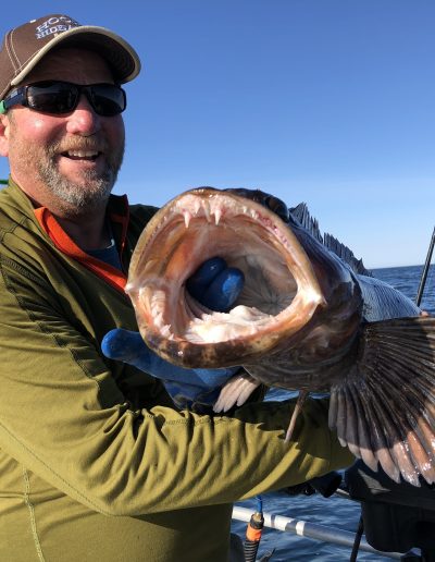 Sitka Lingcod Fishing, Sitka Alaska Fishing Charters, Khaz Charters